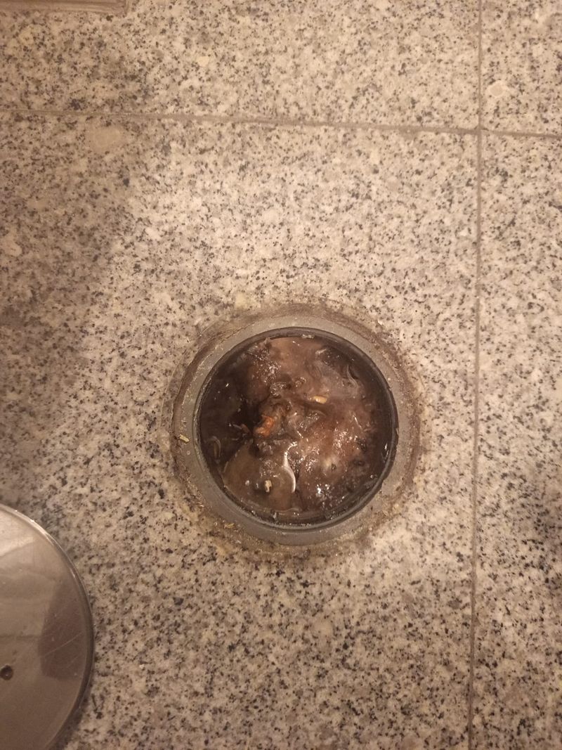 Ralo de pavimento cheio de resíduos, antes do desentupimento